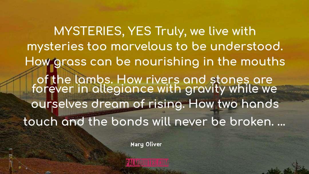 What They Truly Are quotes by Mary Oliver