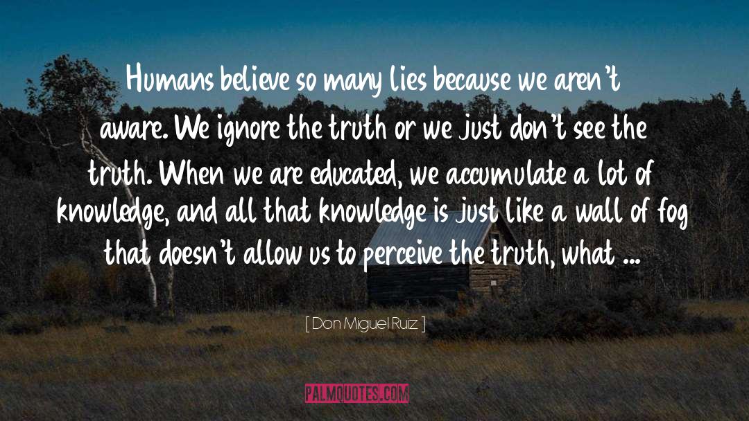 What We Don Understand quotes by Don Miguel Ruiz