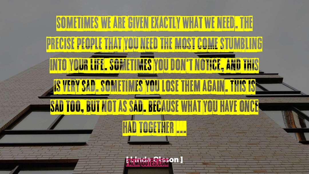 What We Have Doesn T Matter quotes by Linda Olsson