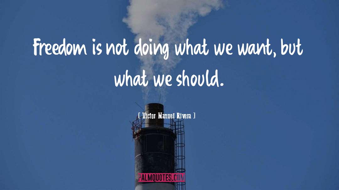 What We Want quotes by Victor Manuel Rivera