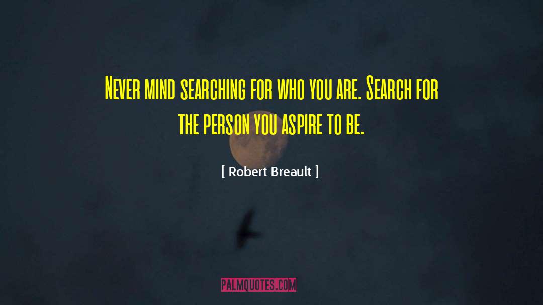 What You Are Searching For quotes by Robert Breault