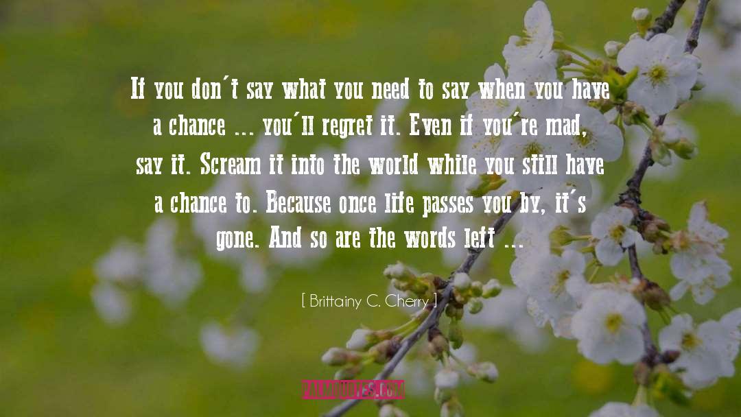 What You Become quotes by Brittainy C. Cherry