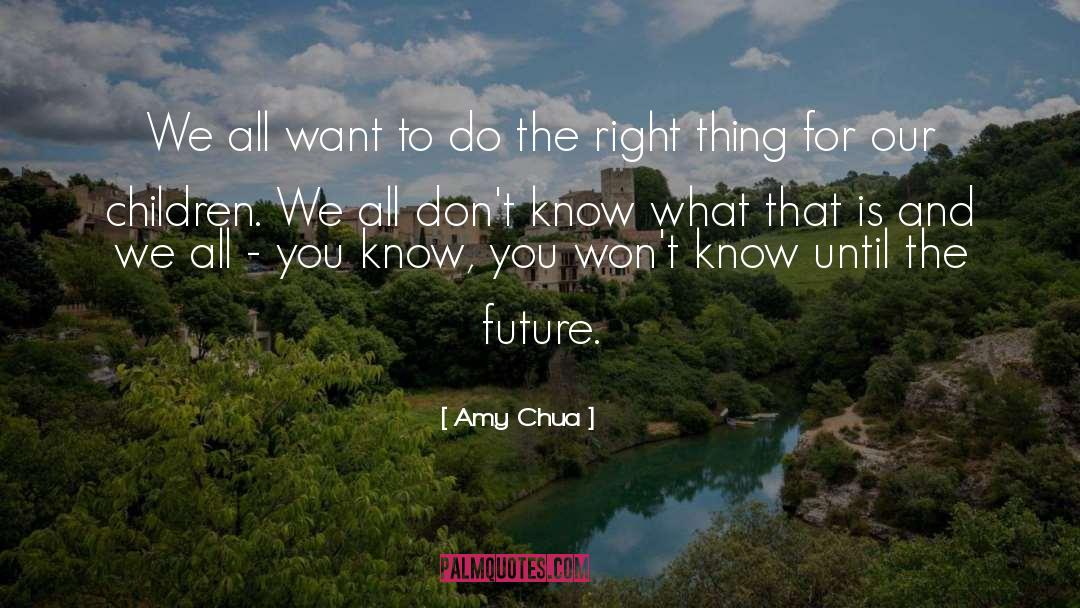 What You Dont Know Wont Hurt You quotes by Amy Chua