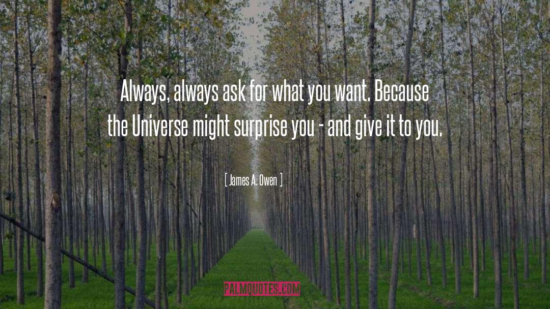 What You Give To The Universe quotes by James A. Owen