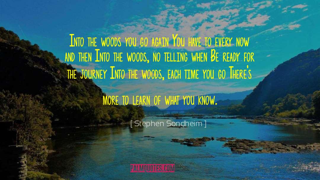 What You Know quotes by Stephen Sondheim