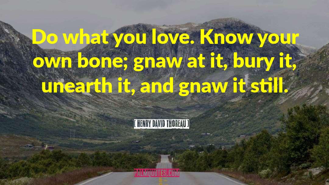 What You Love quotes by Henry David Thoreau