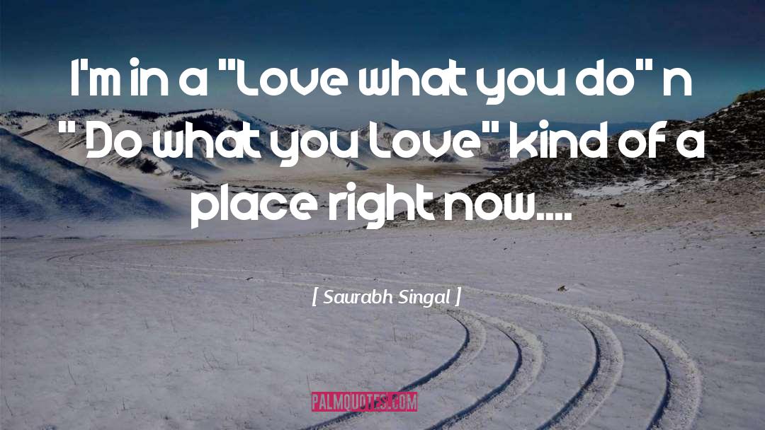 What You Love quotes by Saurabh Singal