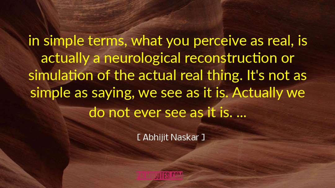 What You See Is Not Real quotes by Abhijit Naskar