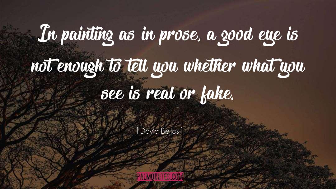 What You See Is Not Real quotes by David Bellos