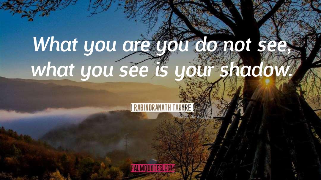What You See quotes by Rabindranath Tagore