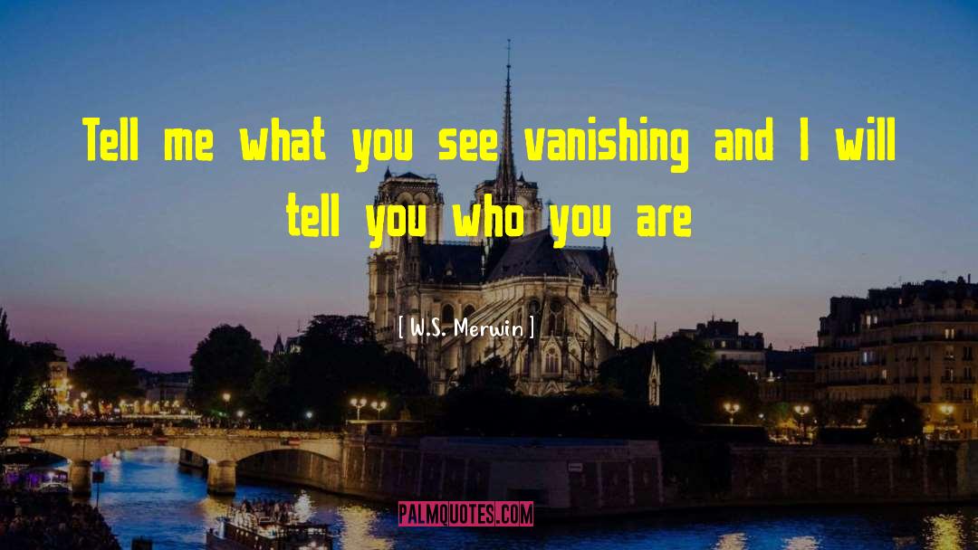 What You See quotes by W.S. Merwin