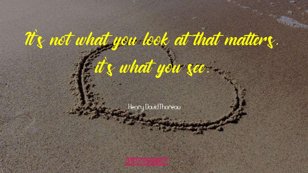 What You See quotes by Henry David Thoreau
