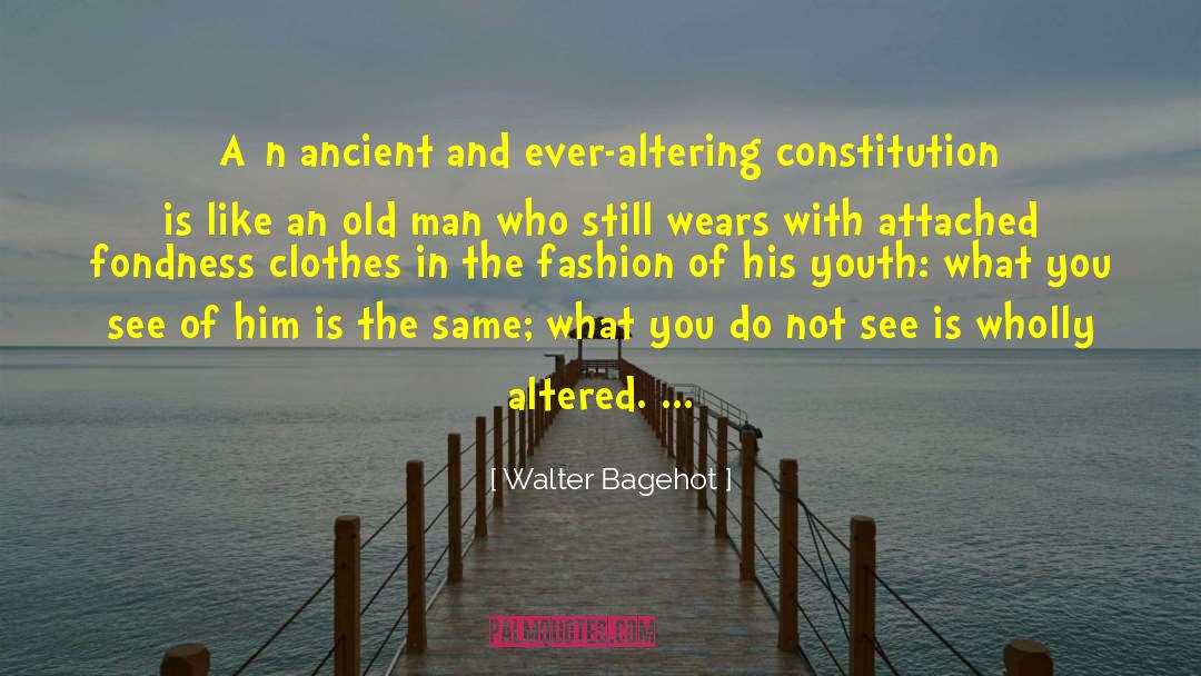 What You See quotes by Walter Bagehot