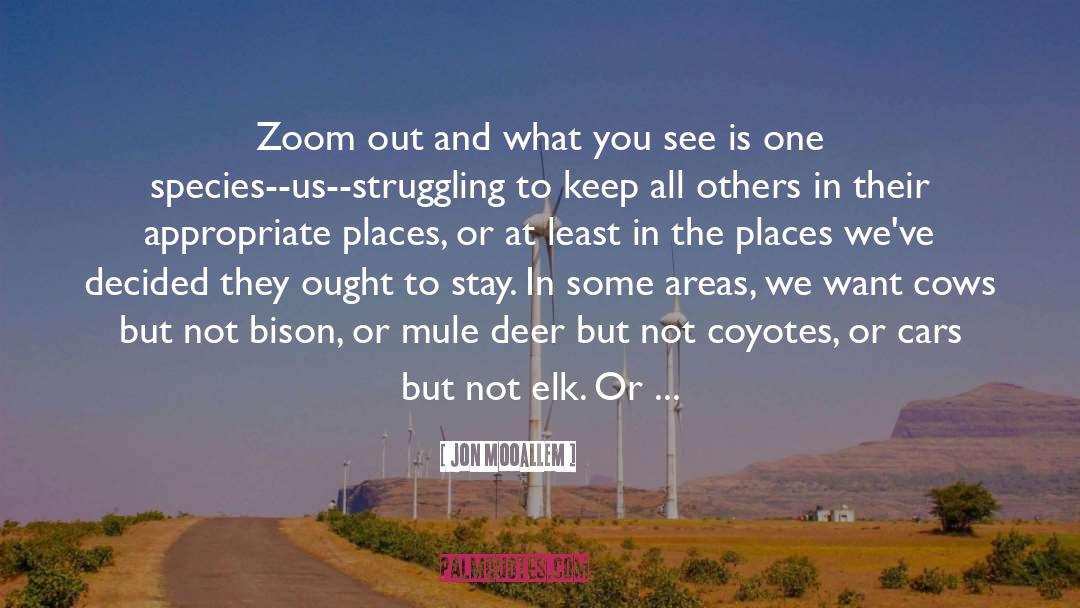What You See quotes by Jon Mooallem