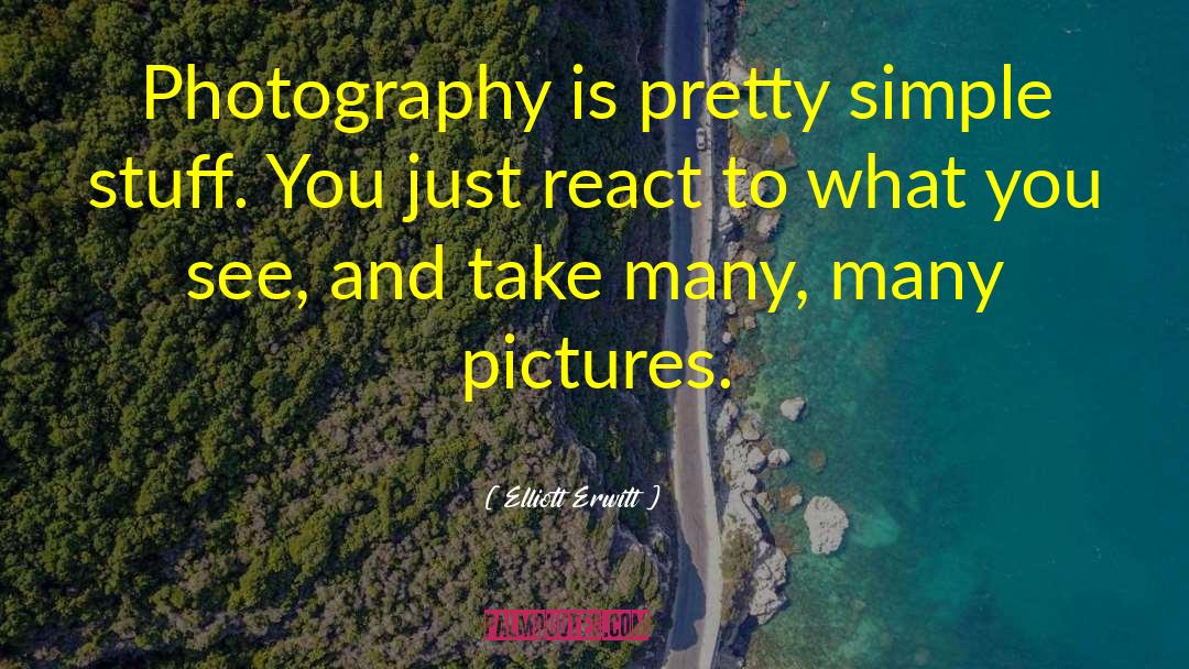 What You See quotes by Elliott Erwitt