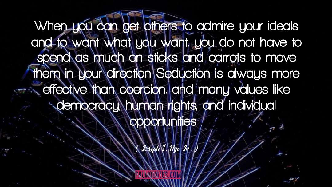 What You Want quotes by Joseph S. Nye Jr.