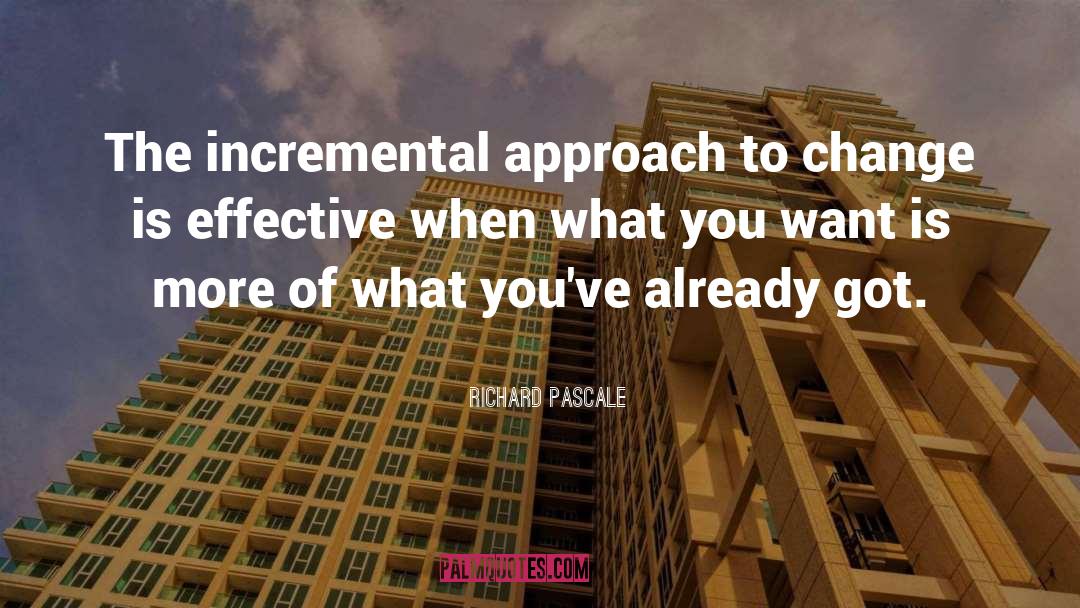 What You Want quotes by Richard Pascale