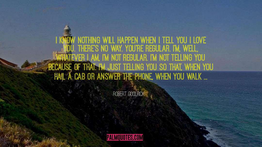 Whatever Happens Never Give Up quotes by Robert Goolrick
