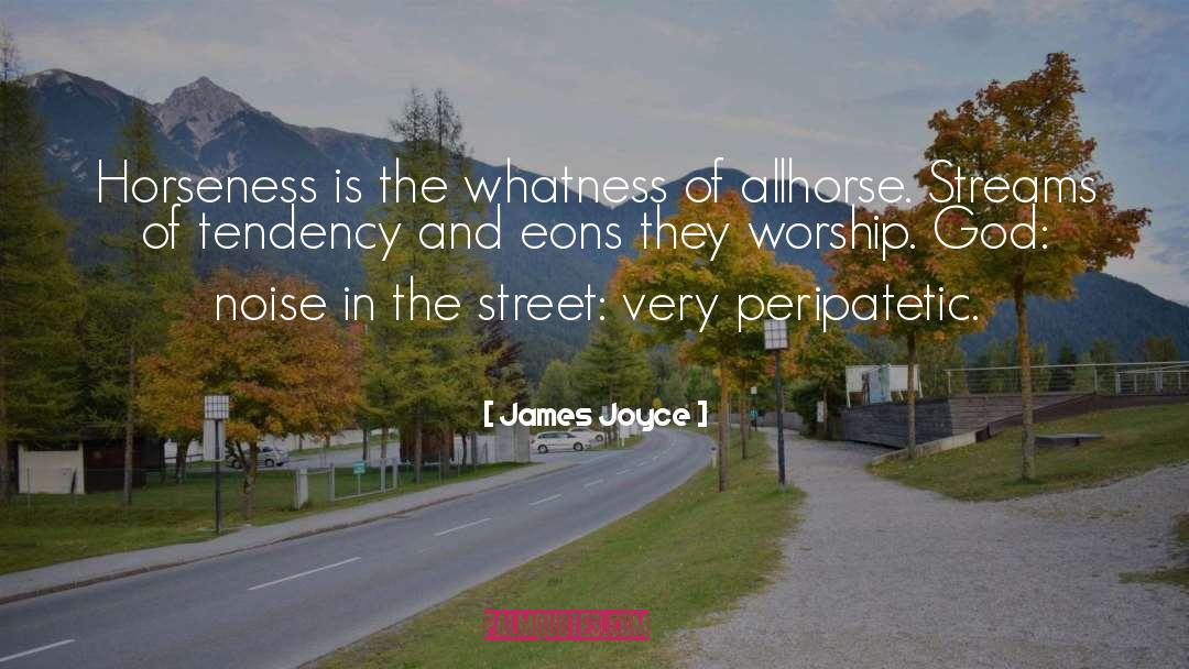Whatness quotes by James Joyce