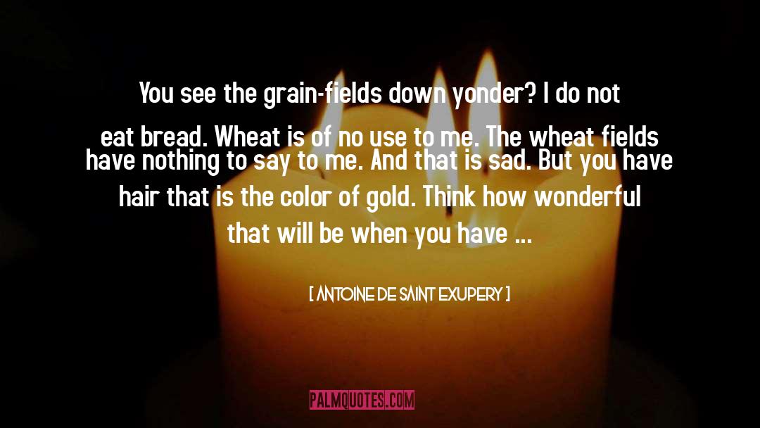 Wheat quotes by Antoine De Saint Exupery