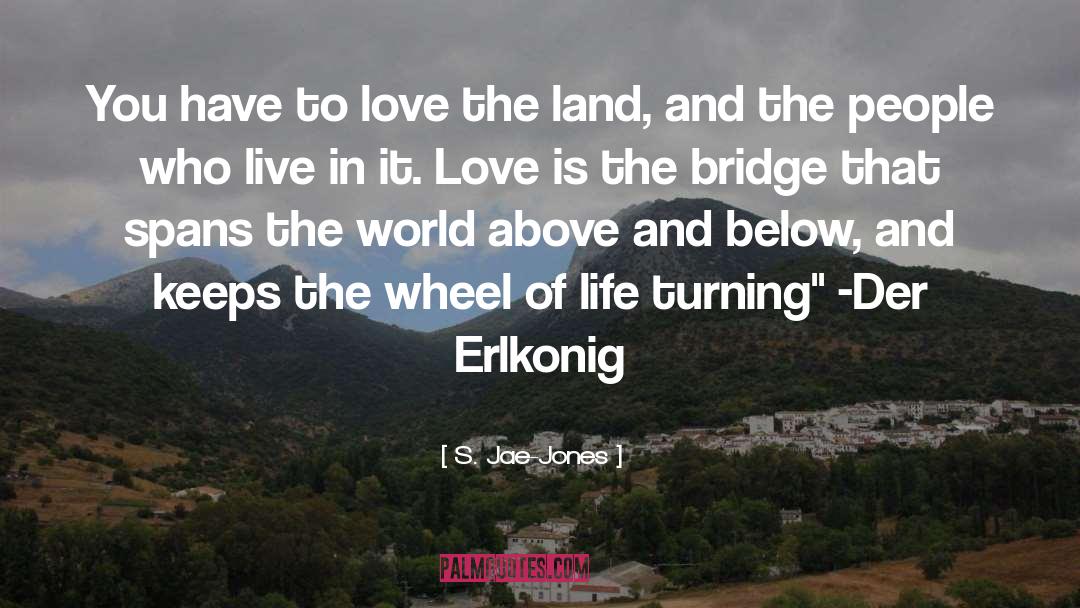 Wheel Of Life quotes by S. Jae-Jones