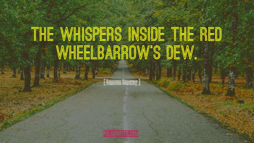 Wheelbarrows quotes by Cameron Conaway