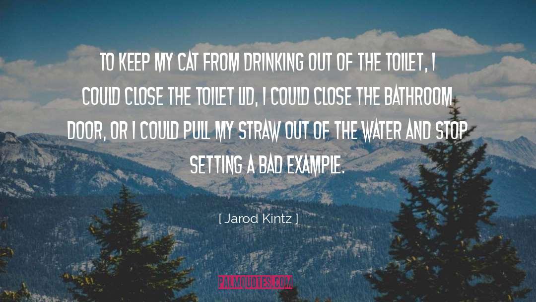 Wheelchair Cat quotes by Jarod Kintz