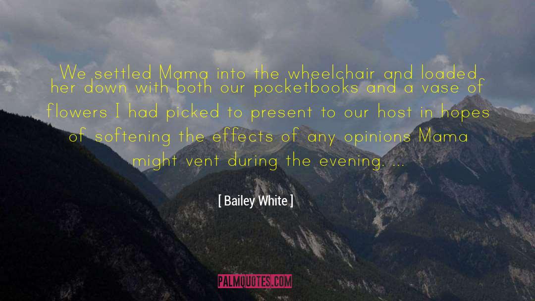 Wheelchairs quotes by Bailey White