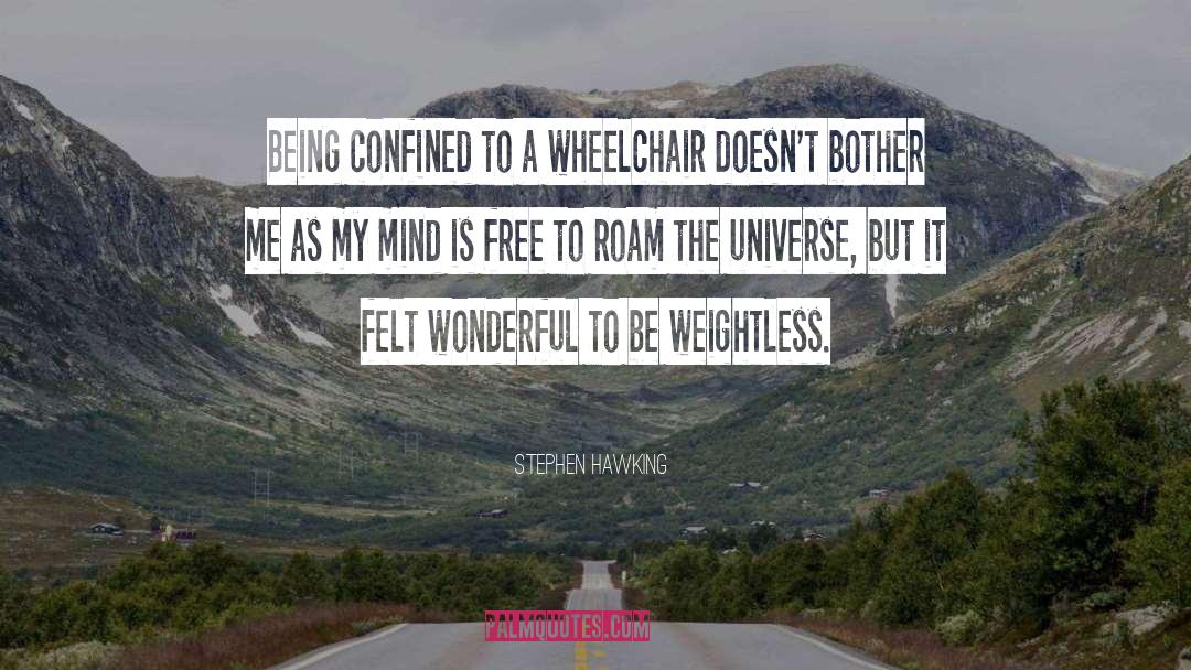 Wheelchairs quotes by Stephen Hawking