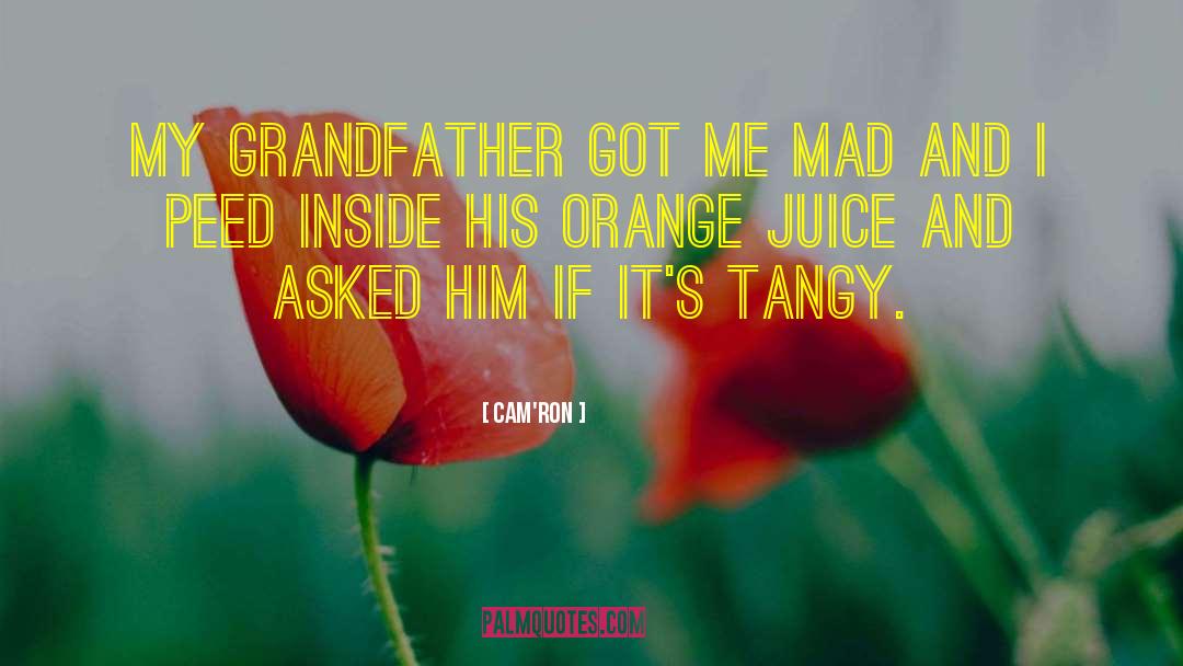 Wheeze The Juice Quote quotes by Cam'ron
