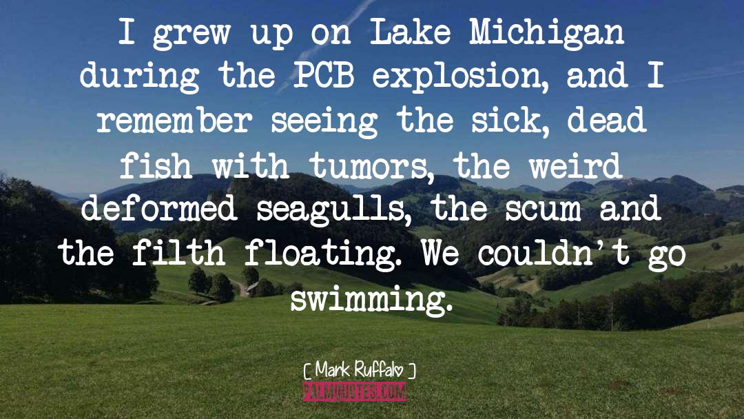 Wheldon Lake quotes by Mark Ruffalo