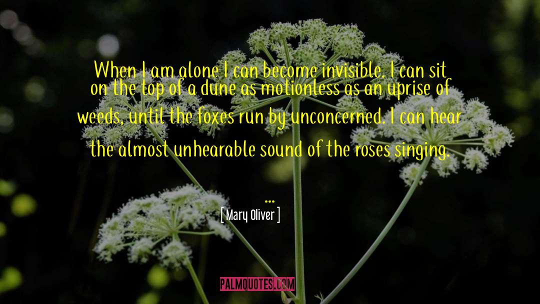 When I Am Alone quotes by Mary Oliver