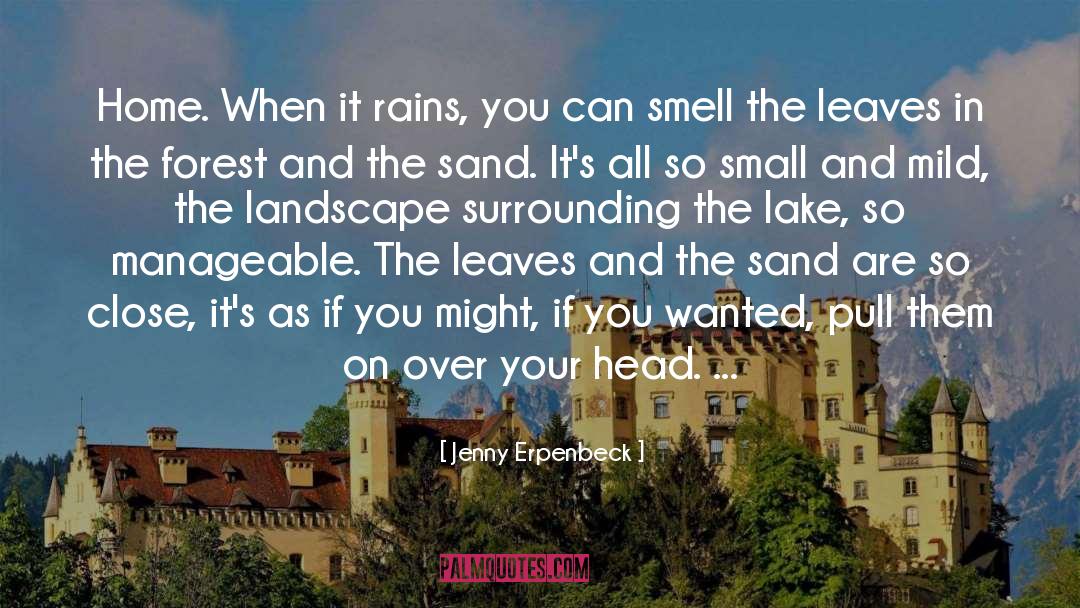 When It Rains quotes by Jenny Erpenbeck