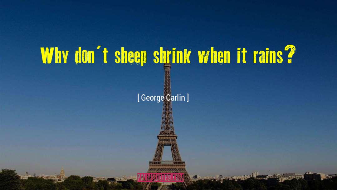 When It Rains quotes by George Carlin