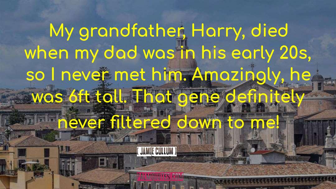 When Sally Met Harry quotes by Jamie Cullum