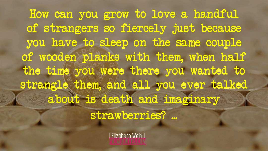 When Strangers Meet quotes by Elizabeth Wein