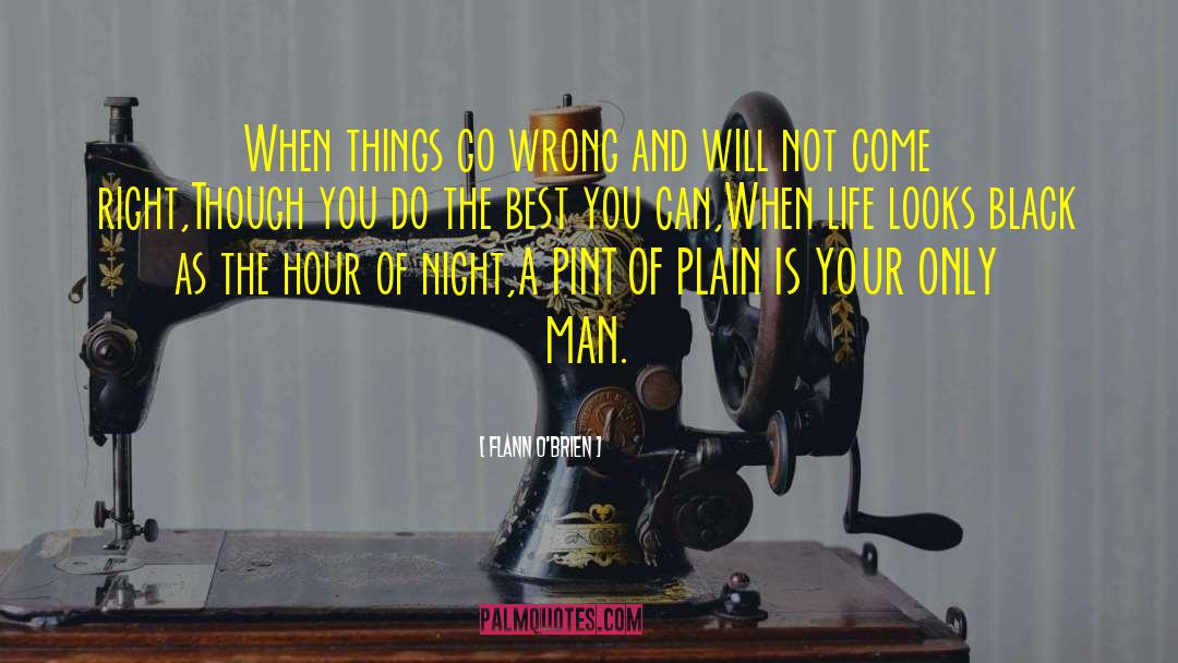 When Things Go Wrong quotes by Flann O'Brien