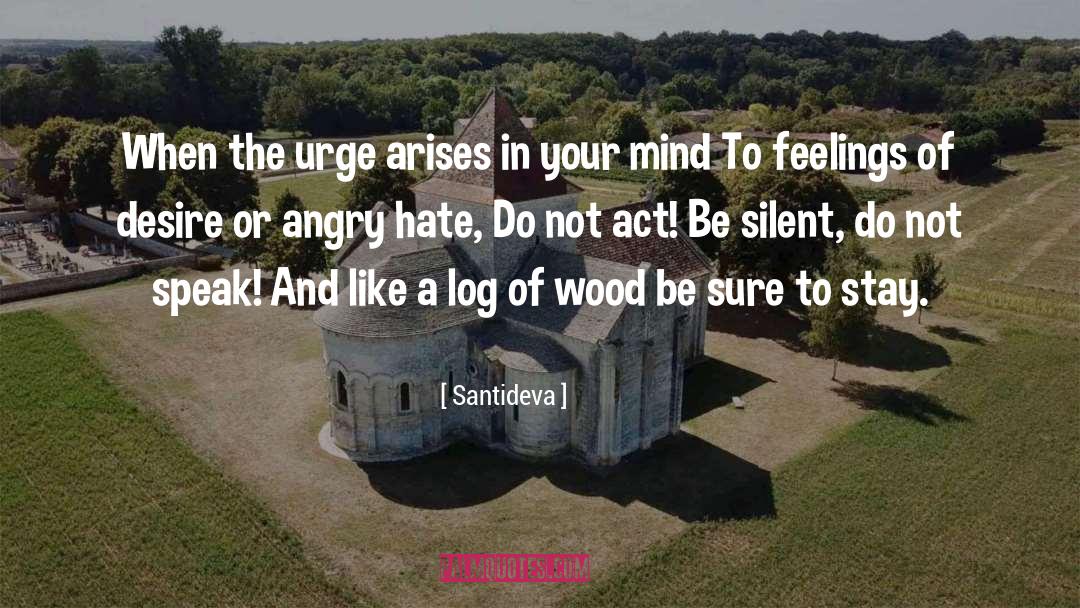 When You Are Angry Be Silent quotes by Santideva