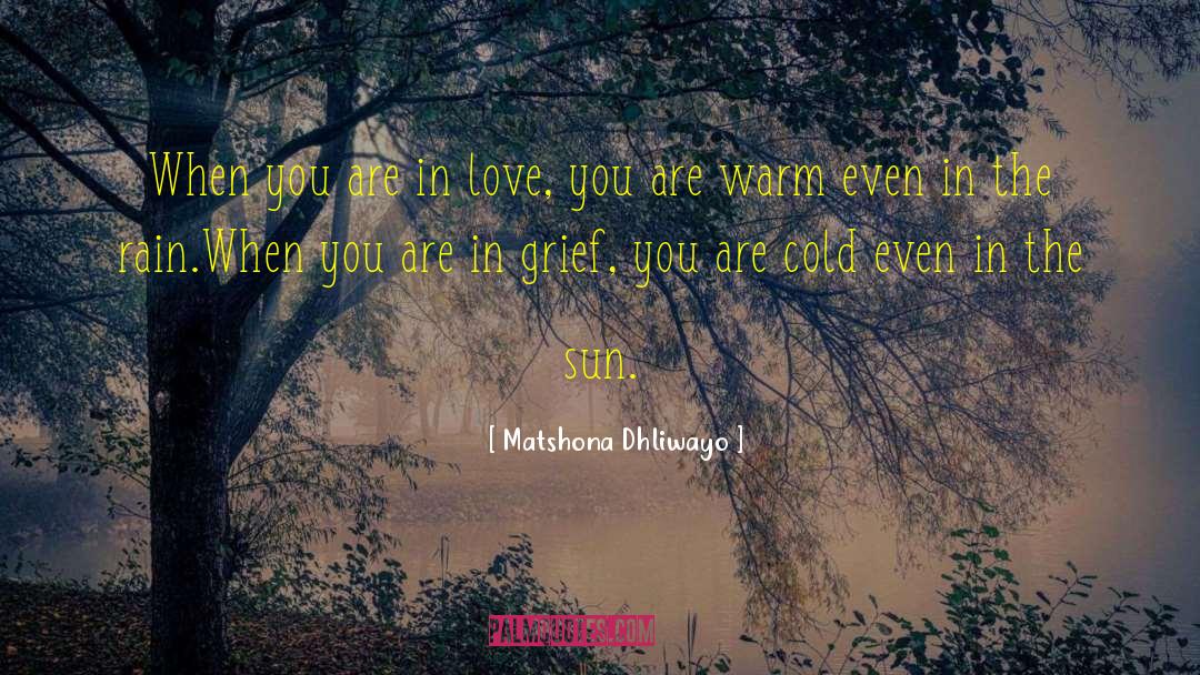 When You Are In Love quotes by Matshona Dhliwayo