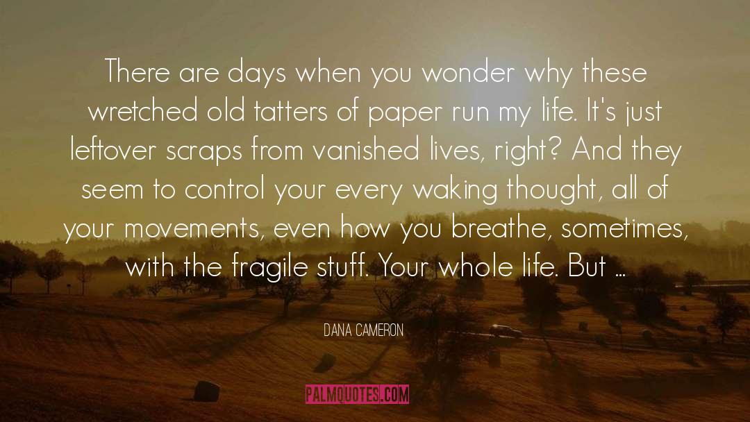 When You Are Ready quotes by Dana Cameron