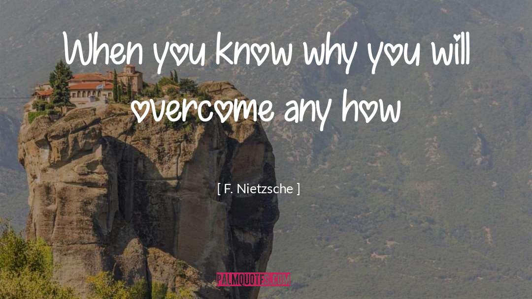 When You Know quotes by F. Nietzsche