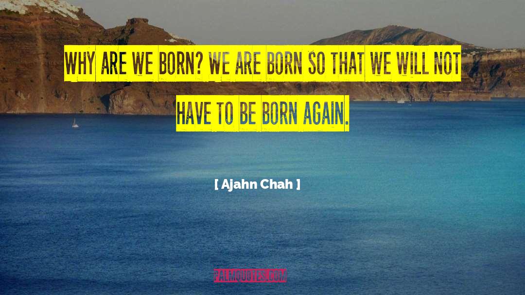 When You Were Born To Stand Out Quote quotes by Ajahn Chah