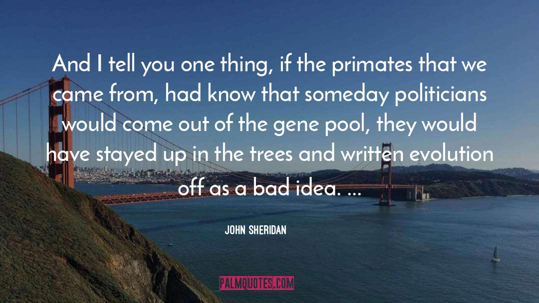 Where Plot Ideas Come From quotes by John Sheridan
