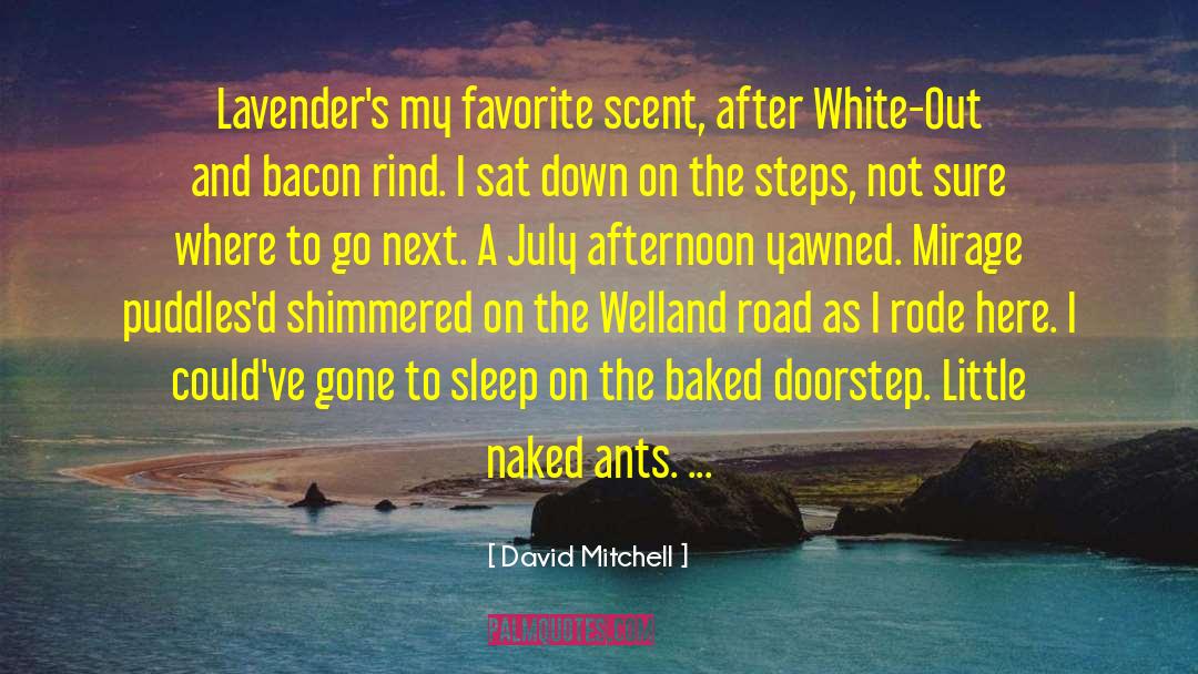 Where To Go quotes by David Mitchell