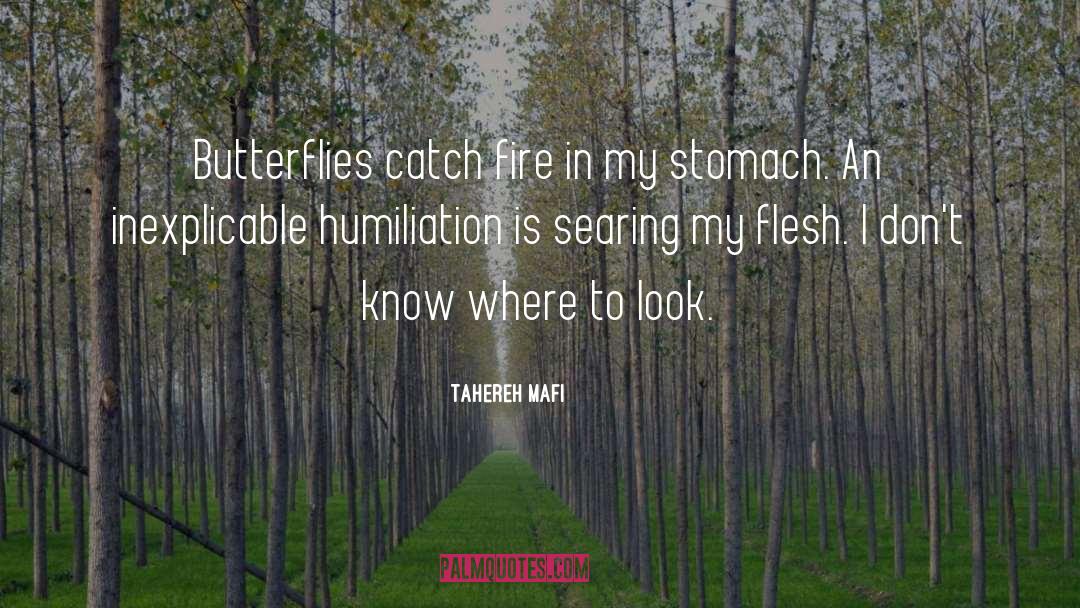 Where To Look quotes by Tahereh Mafi