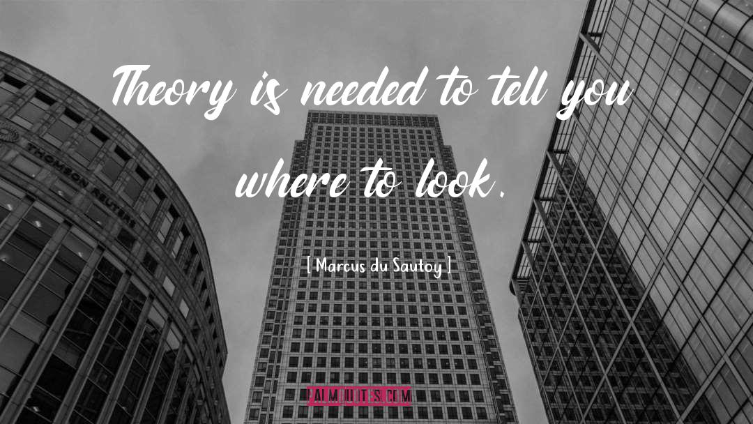 Where To Look quotes by Marcus Du Sautoy