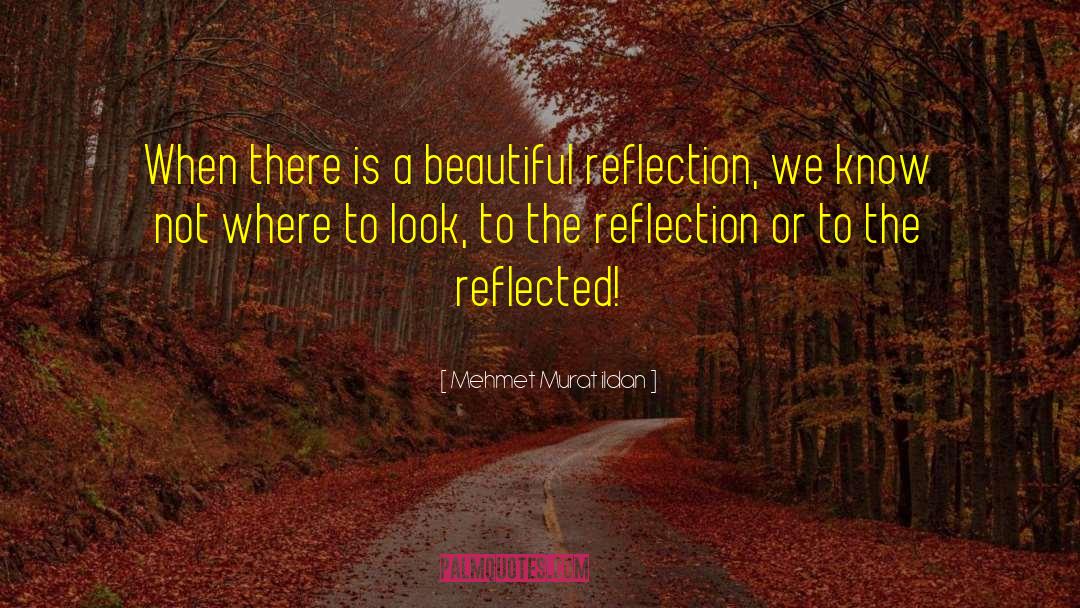 Where To Look quotes by Mehmet Murat Ildan