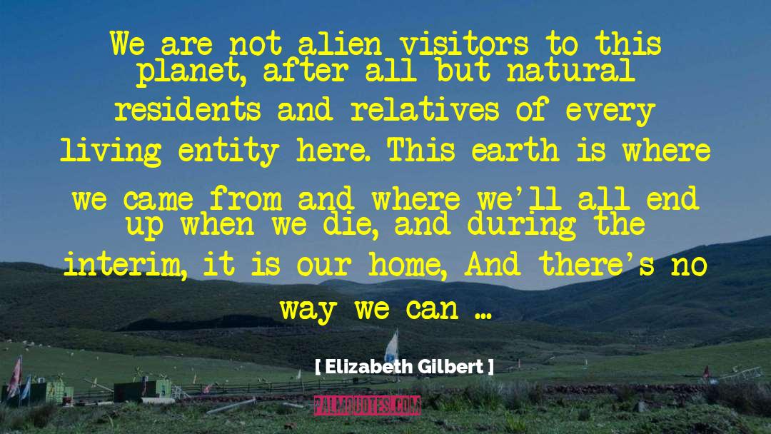 Where We Came quotes by Elizabeth Gilbert