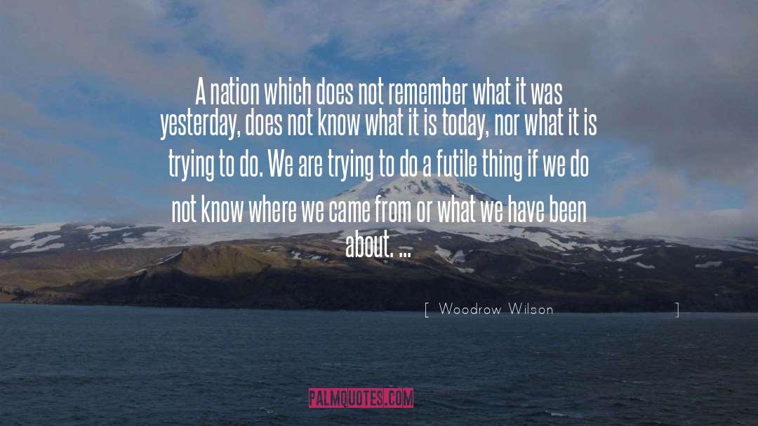 Where We Came quotes by Woodrow Wilson