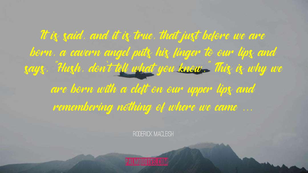 Where We Came quotes by Roderick MacLeish